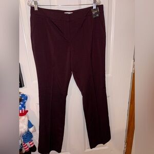 New York & Company Deep Burgundy Straight Leg Pants